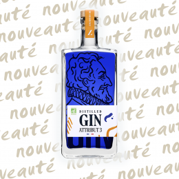 Attribut N°3 - Artisanal Dry Gin