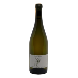 Blanc de Noir 2023 Blanc