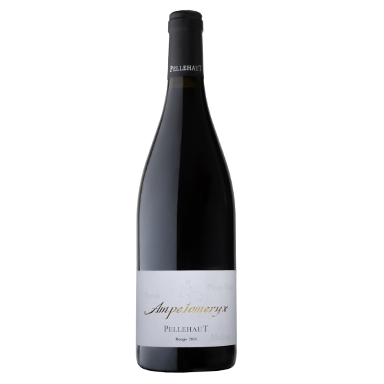 Ampélomeryx Rouge 2024 Domaine du Peyra Domaine du Peyra FR Route de Lagardère Domaine du Peyra Domaine du Peyra Domaine du Peyra Route de Lagardère Domaine du Peyra Domaine du Peyra Domaine du Peyra Domaine du Peyra Domaine du Peyra Route de Lagardère Domaine du Peyra Route de Lagardère Route de Lagardère